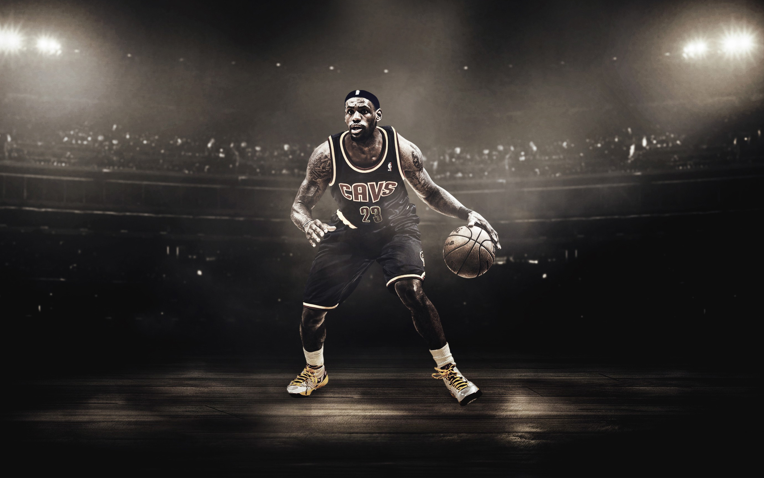 LeBron James Basketball Player6751116349